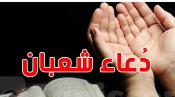 بداية غرة شعبان.. كيف تستعد روحياً لاستقبال ليلة غفران الذنوب؟